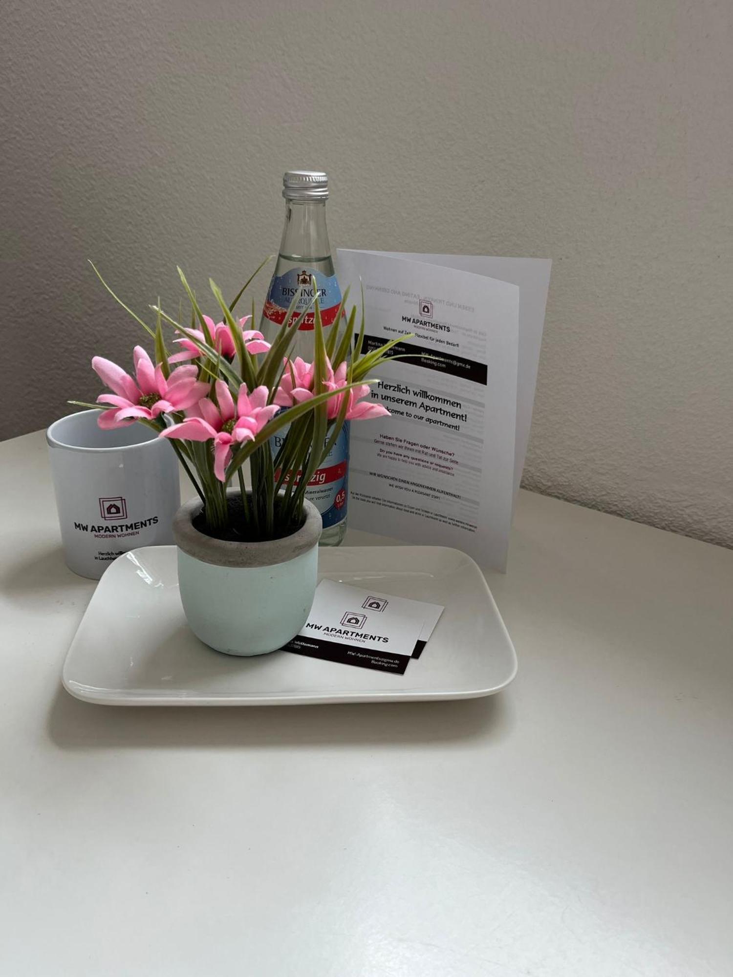 Apartment Mw C1